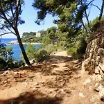 Havre De Paix Provencal Bandol