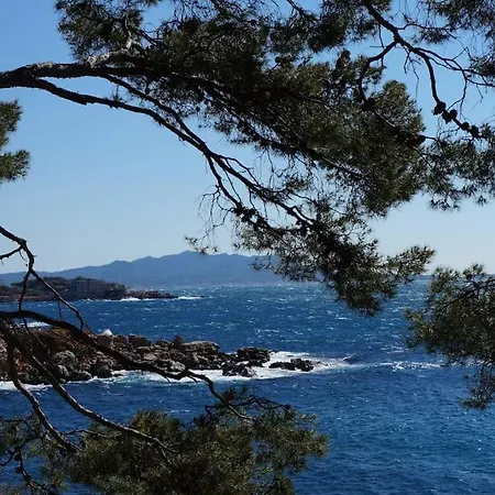 Havre De Paix Provencal Holiday home Bandol